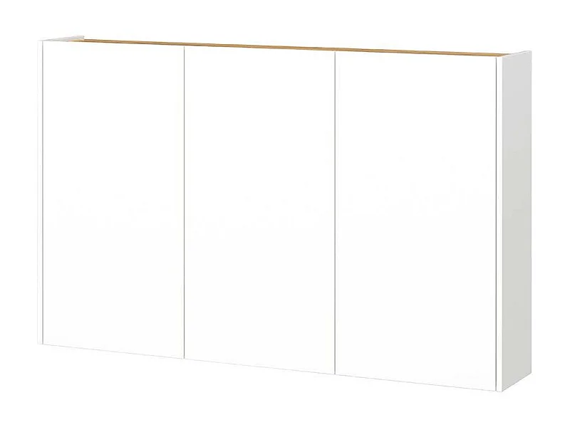 Schuhschrank Wandschrank mit Drehtüren für die Wandmontage