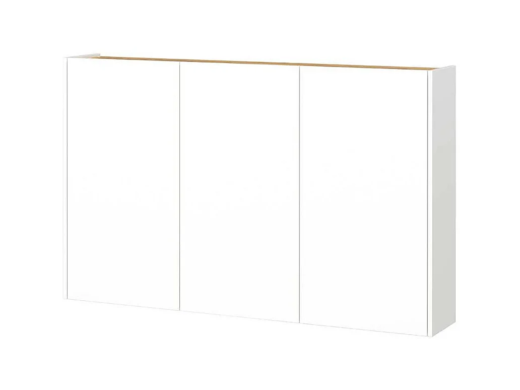 Schuhschrank Wandschrank mit Drehtüren für die Wandmontage