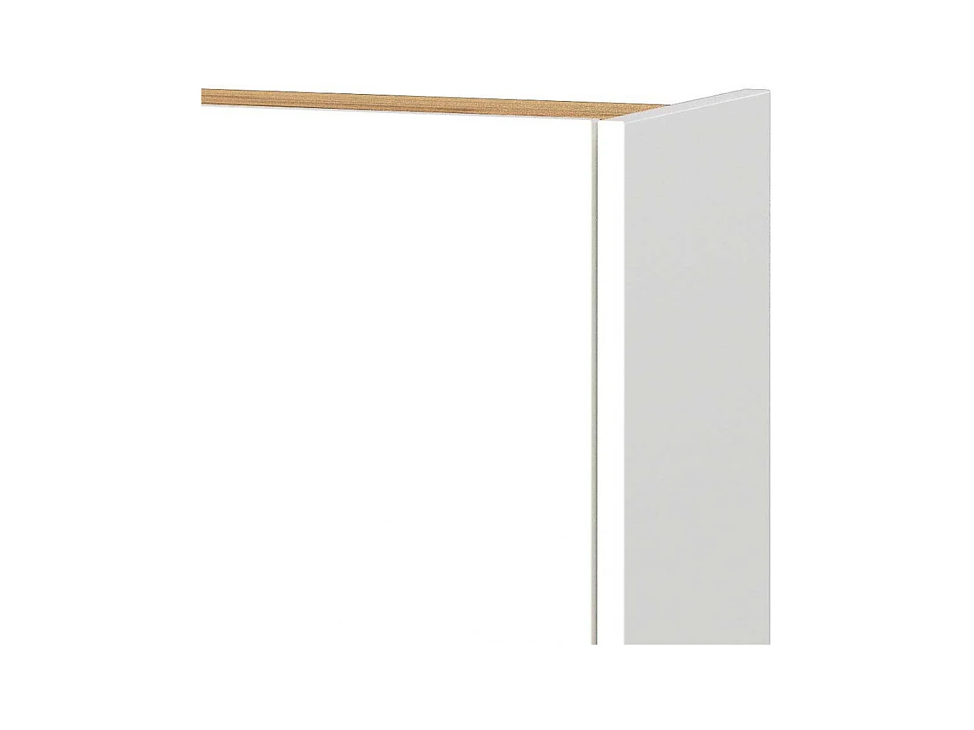 Schuhschrank Wandschrank mit Drehtüren für die Wandmontage