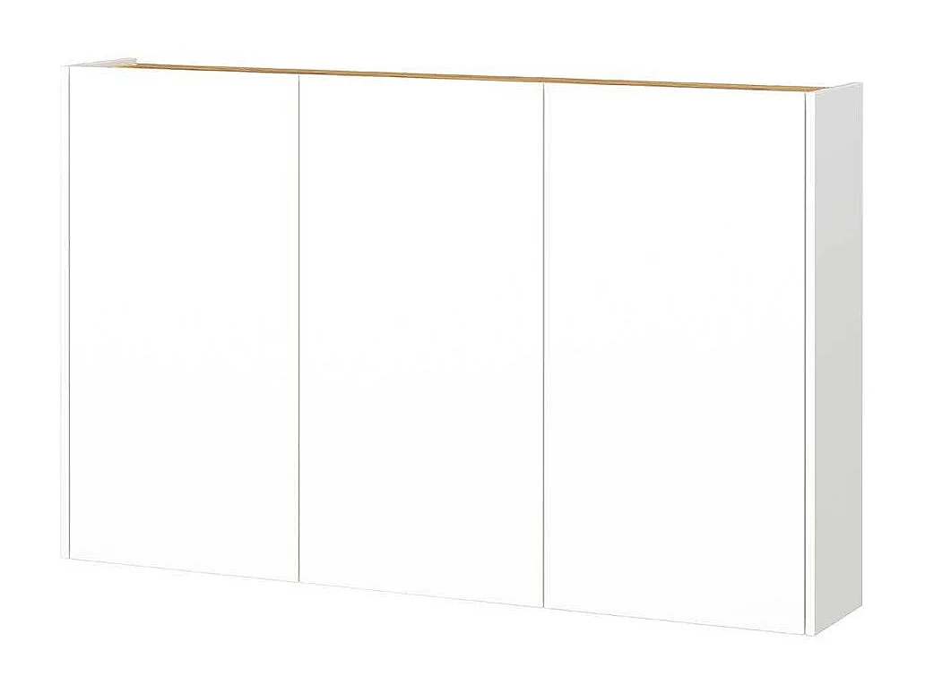 Schuhschrank Wandschrank mit Drehtüren für die Wandmontage