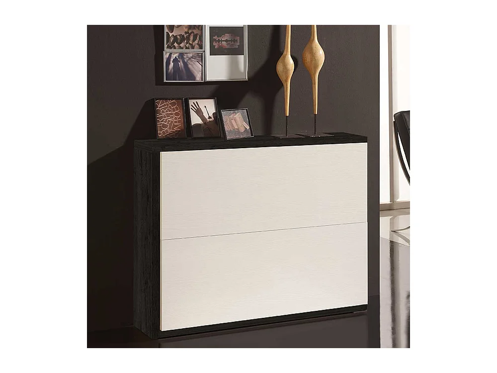 Garderobenschuhschrank in Weiß und Schwarz zwei Klappen