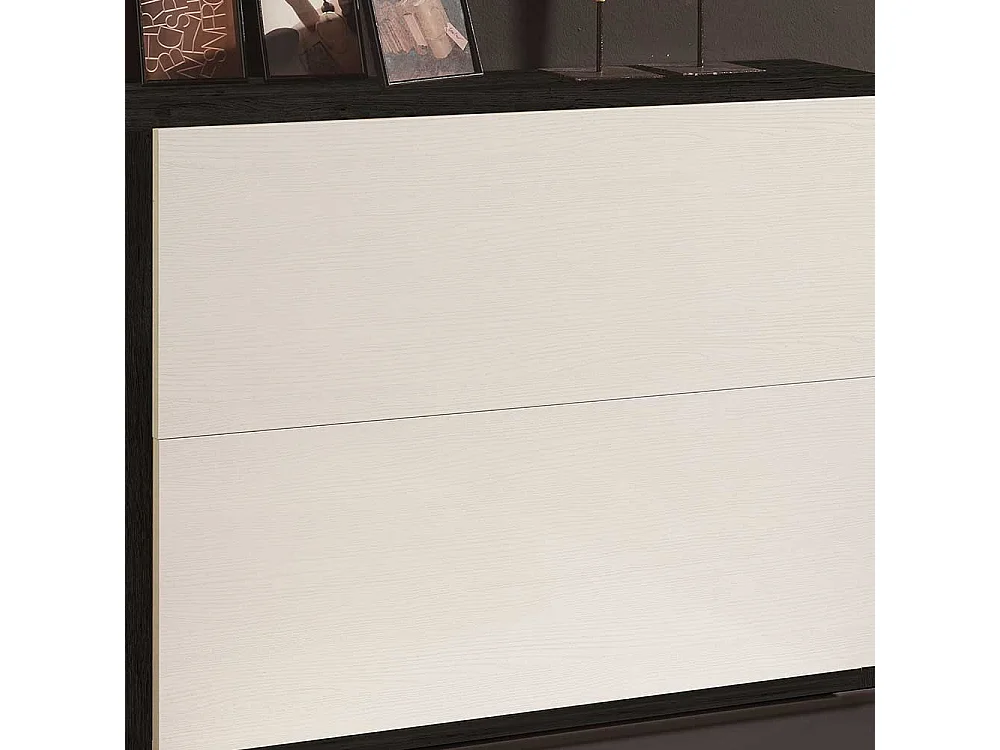 Garderobenschuhschrank in Weiß und Schwarz zwei Klappen