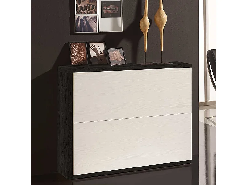 Garderobenschuhschrank in Weiß und Schwarz zwei Klappen