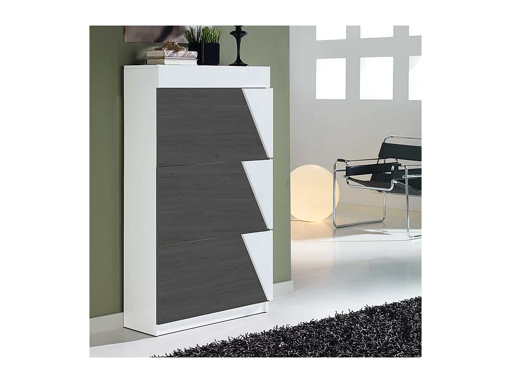 Schuhkipper in Schwarzgrau und Weiß modern