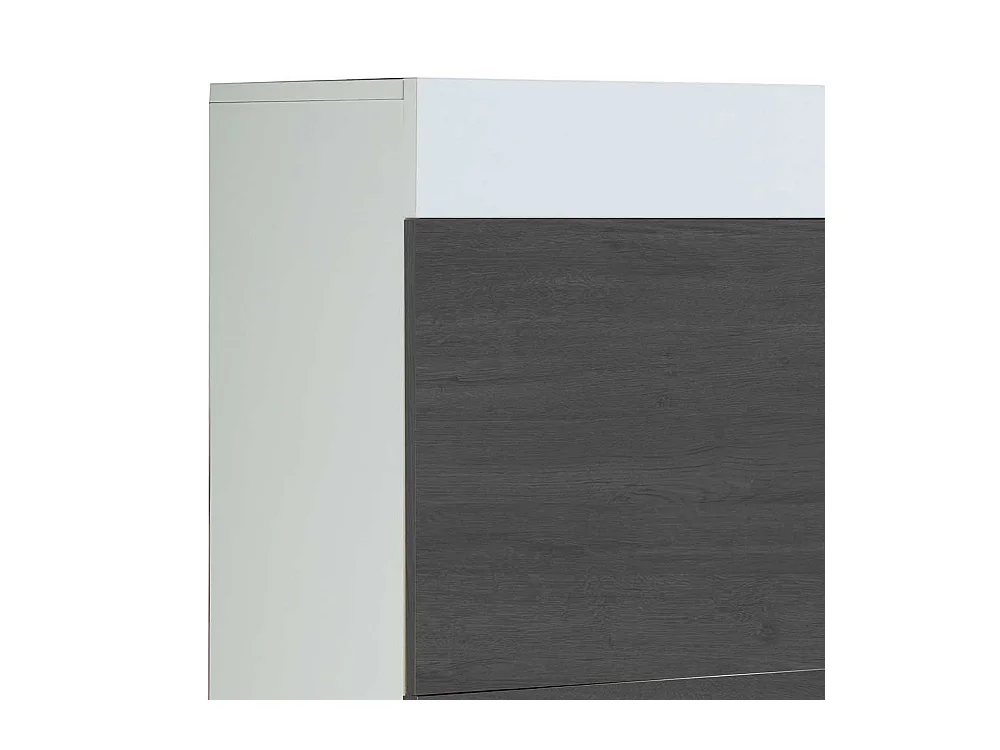 Schuhkipper in Schwarzgrau und Weiß modern