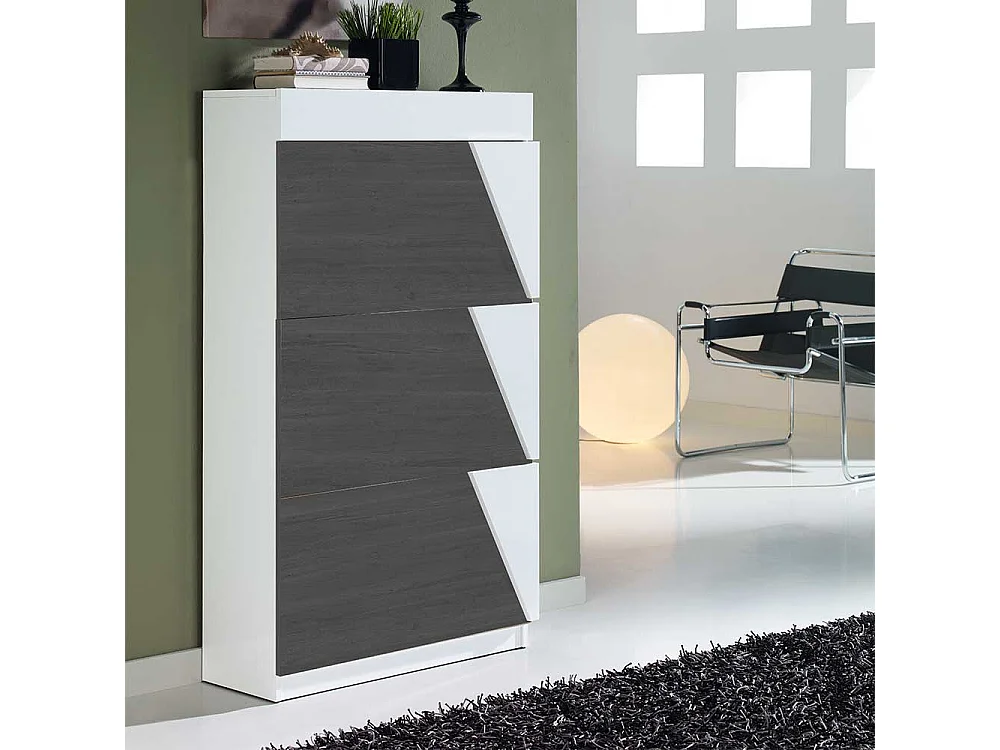 Schuhkipper in Schwarzgrau und Weiß modern