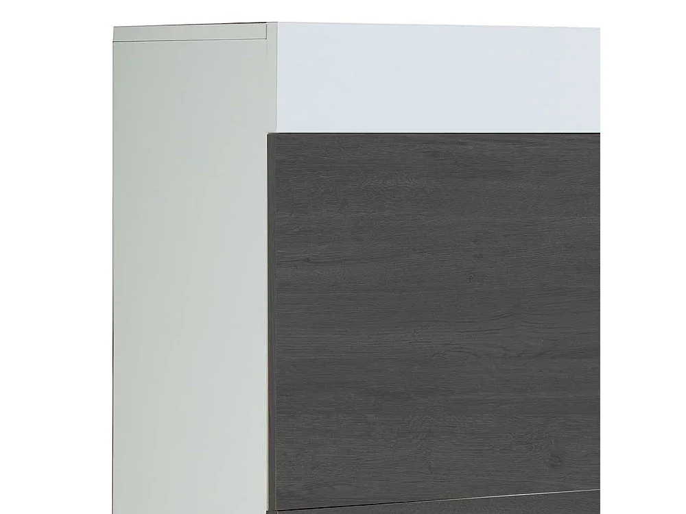 Schuhkipper in Schwarzgrau und Weiß modern