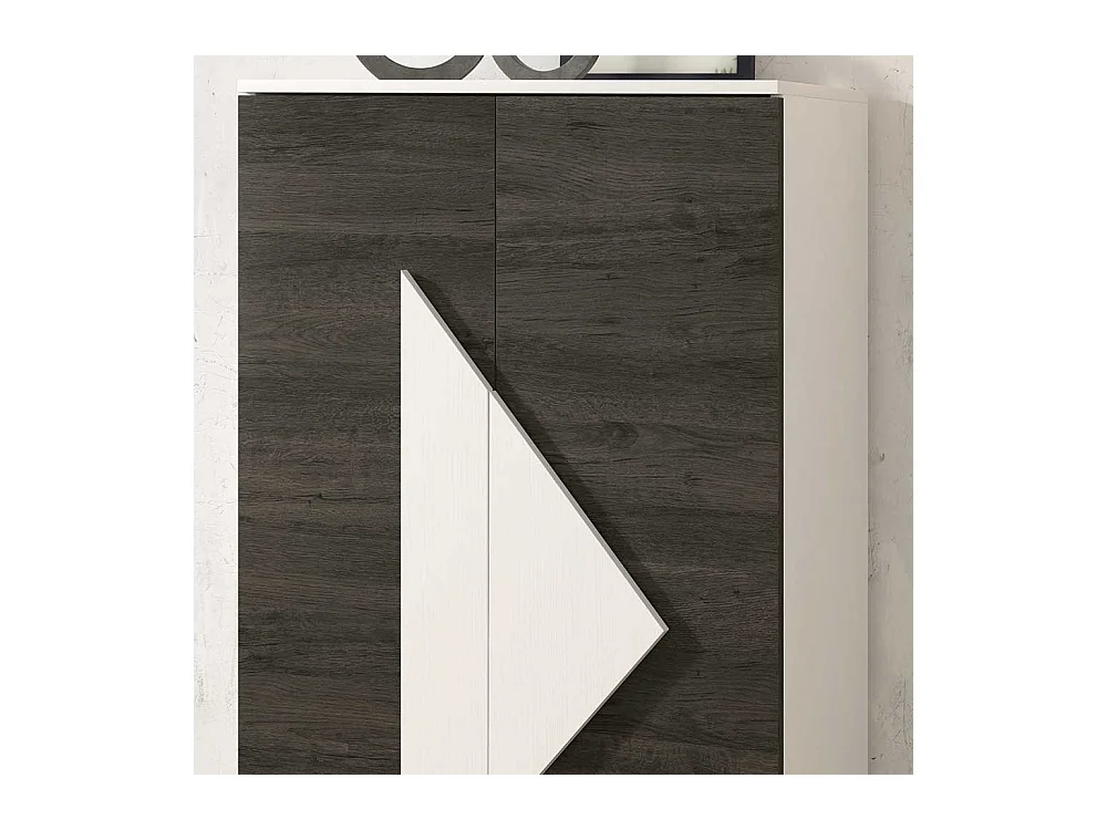 Schuhschrank in Schwarzgrau und Weiß 2-türig