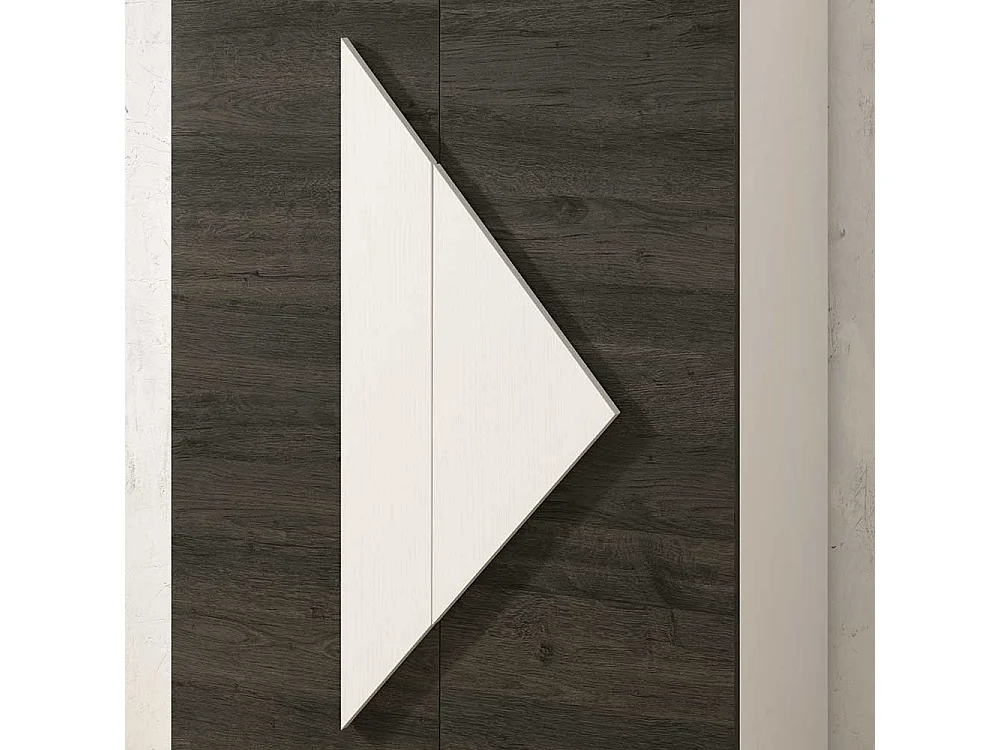 Schuhschrank in Schwarzgrau und Weiß 2-türig