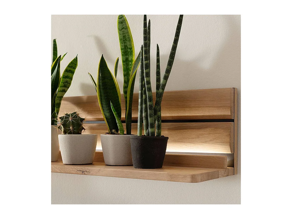 Wandregal Wandboard aus Massivholz in Asteiche hell