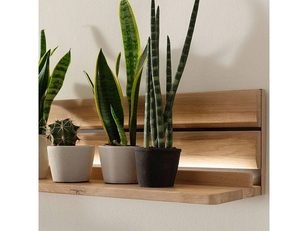 Wandregal Wandboard aus Massivholz in Asteiche hell