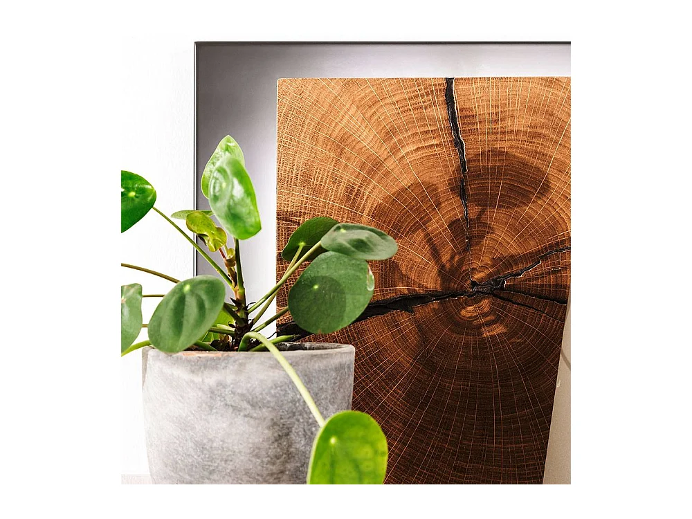 Hängeregal Wandboard mit zwei Glasböden in Braun