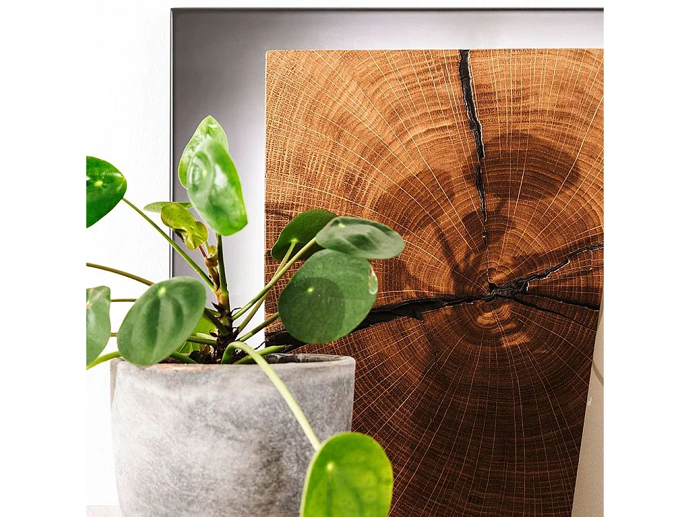 Hängeregal Wandboard mit zwei Glasböden in Braun