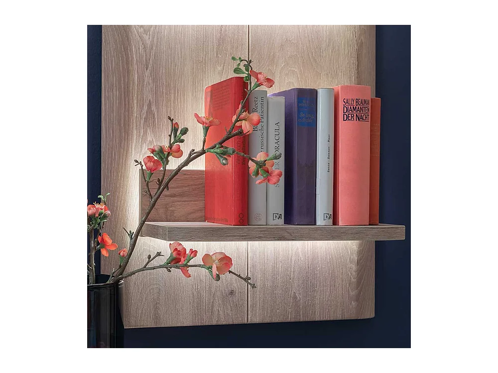 Wandregal in Wildeiche Holzoptik 50 cm breit