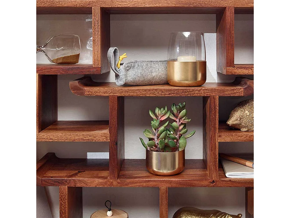Echtholz Regal in Sheeshamfarben modernem Design