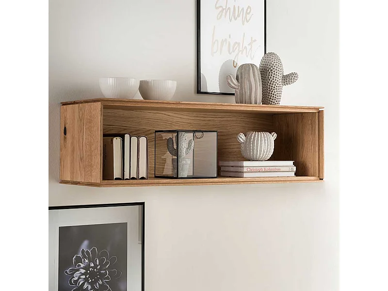 Wohnzimmer Wandhängeregal aus Wildeiche Massivholz mit Rückwand