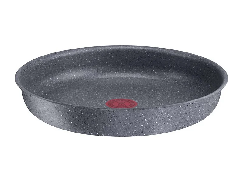 Tefal Poêle aluminium 24cm - L3960402