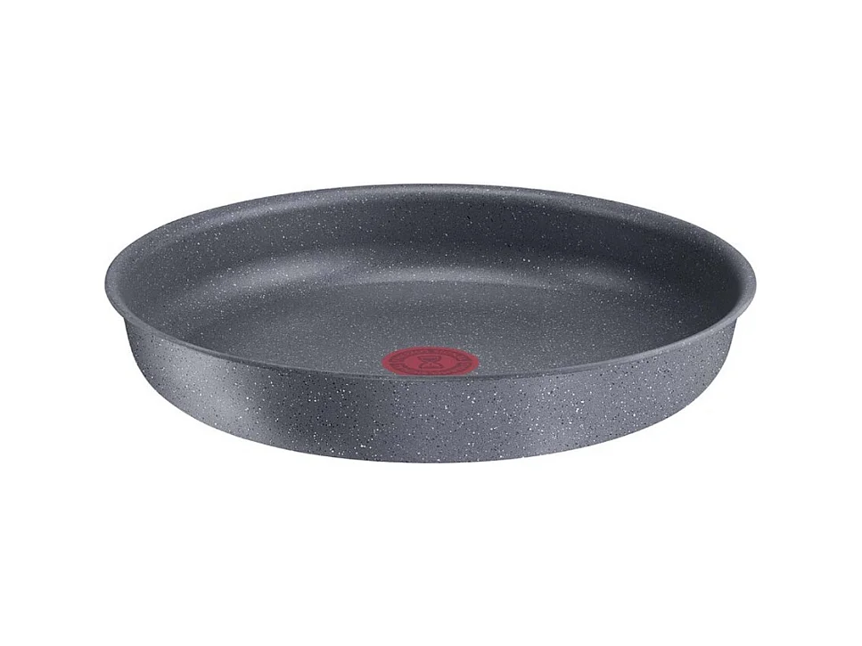 Tefal Poêle aluminium 24cm - L3960402