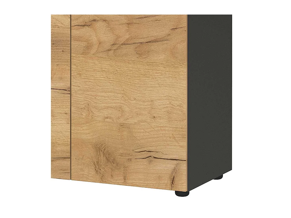 Home Office Schrank für Ordner Wildeichefarben & Anthrazit