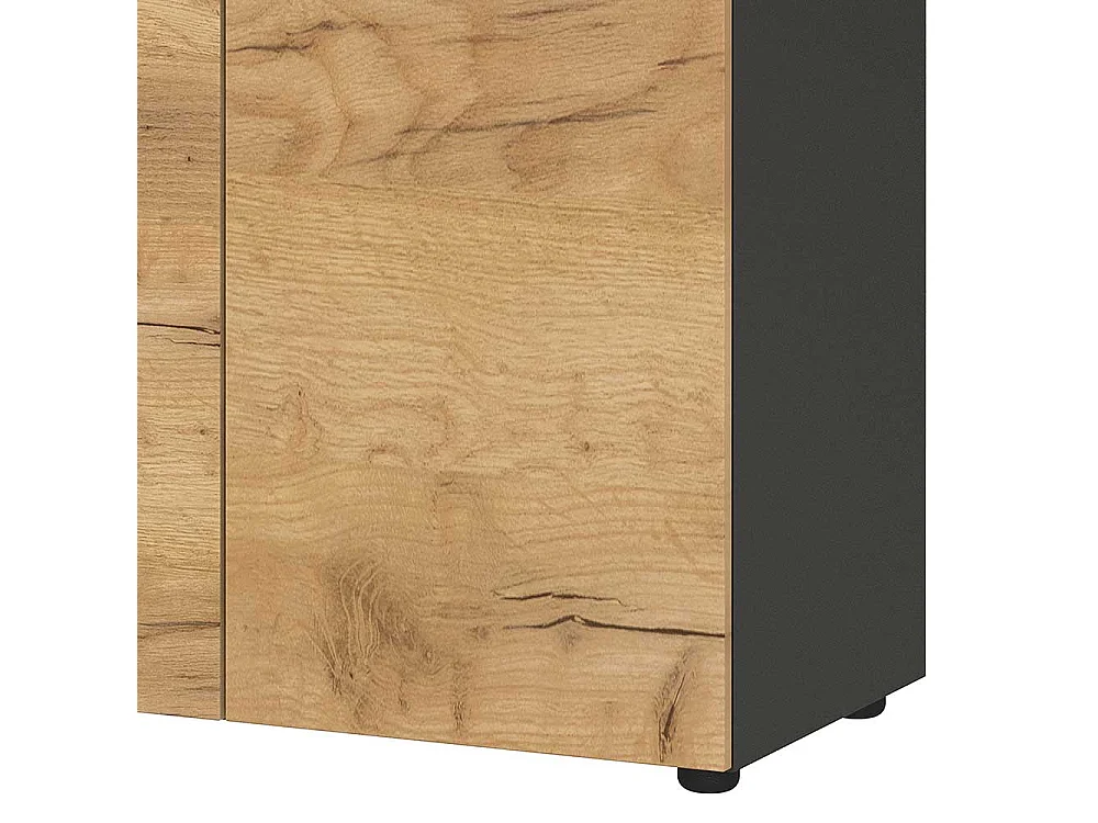 Home Office Schrank für Ordner Wildeichefarben & Anthrazit