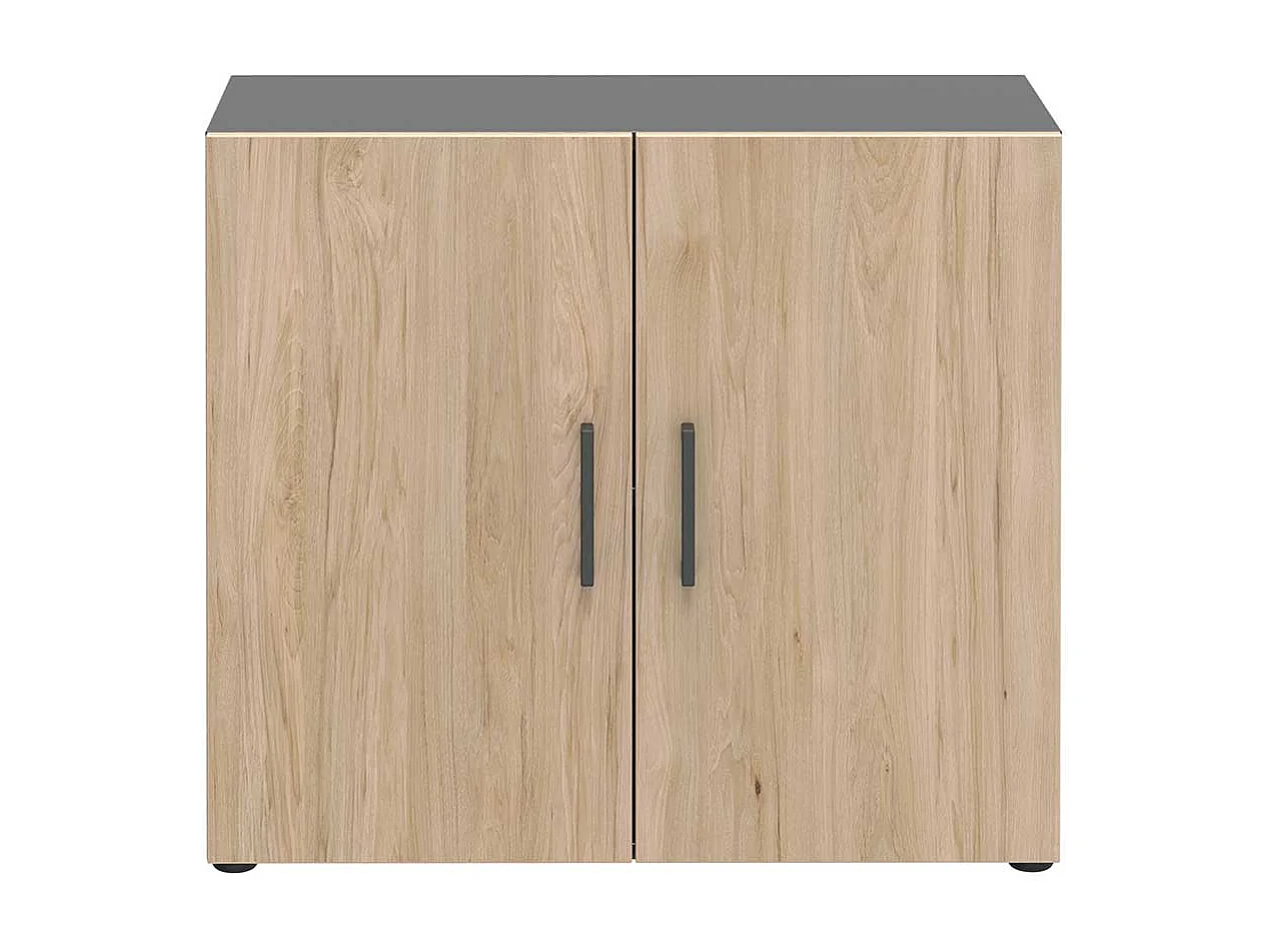 Kleiner Aktenordnerschrank 2 t�rig Hickory Holzoptik & Anthrazit