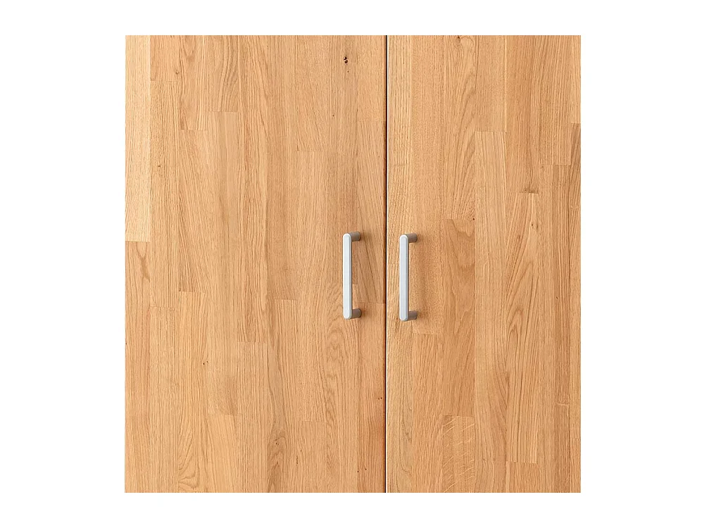 Großer Aktenschrank Wildeiche 2 türig modernem Design