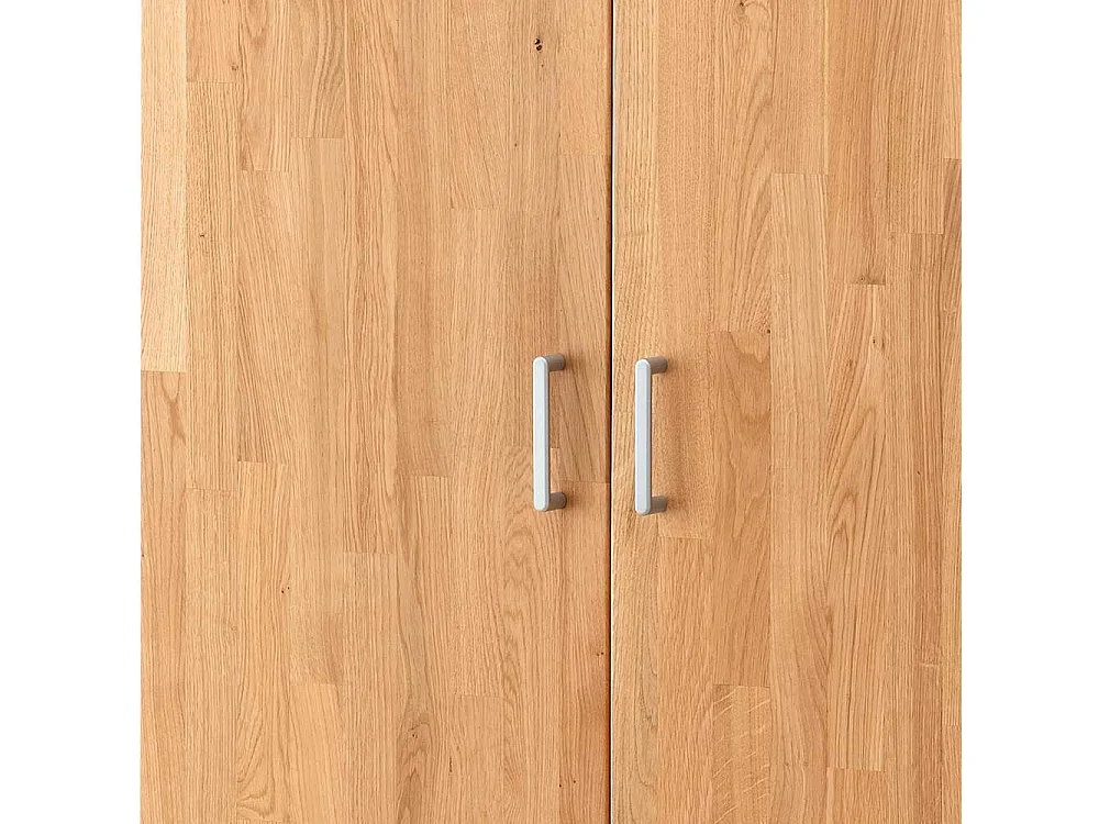 Großer Aktenschrank Wildeiche 2 türig modernem Design