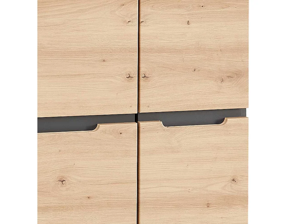 Aktenordnerschrank mit Türen in Wildeichefarben Dunkelgrau