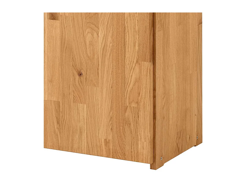 Büroschrank Wildeiche geölt 2 türig modernem Design