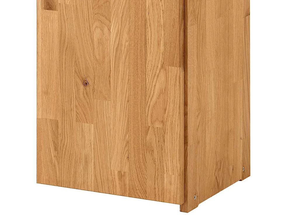 Büroschrank Wildeiche geölt 2 türig modernem Design