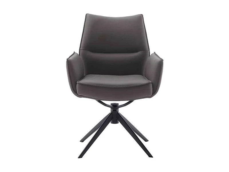 Armlehnstuhl Esszimmerstuhl aus Metall und Echtleder (2er Set)