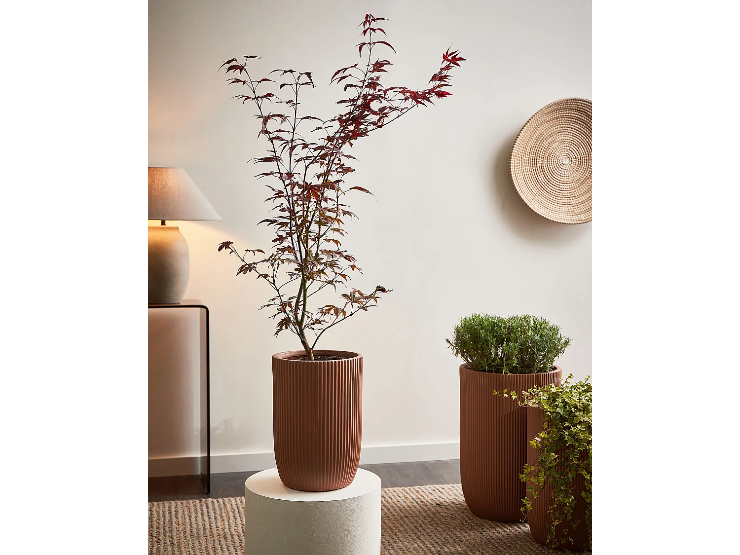 Cache-pot EANTIO 25 cm Marron