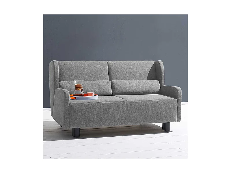 Zweier Sofa in Grau Webstoff Schlaffunktion
