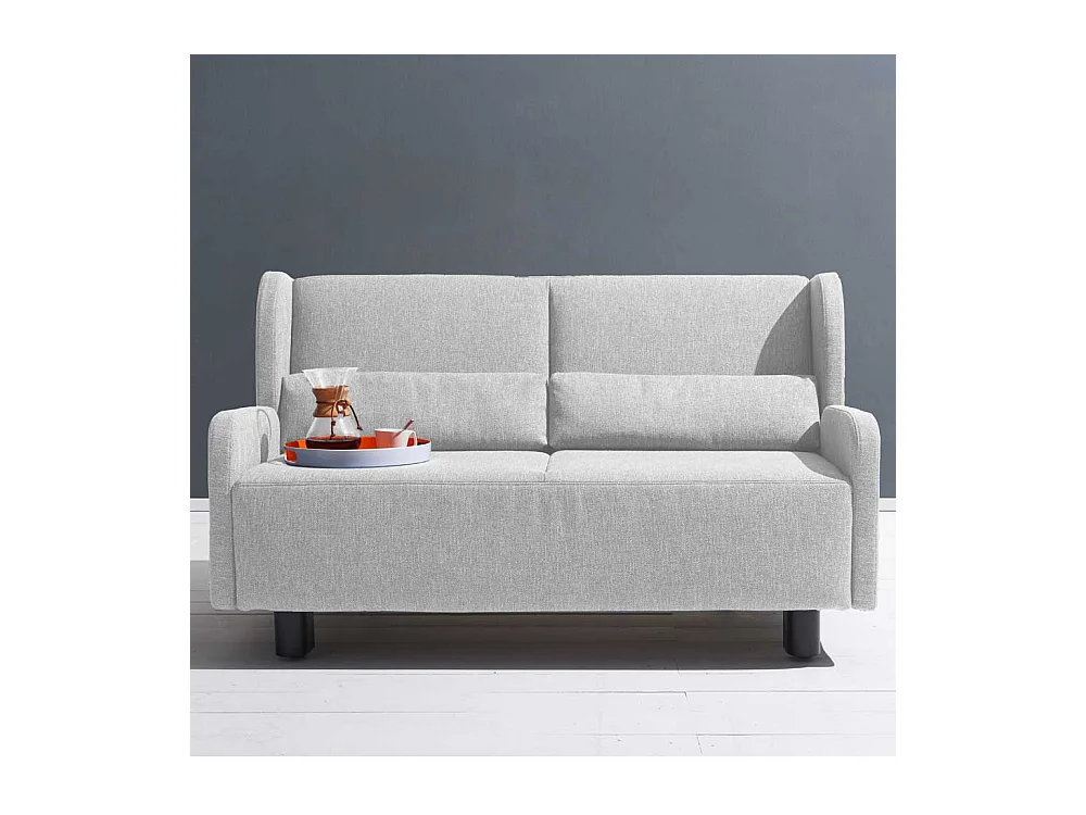 Zweisitzer Schlafsofa in Hellgrau Webstoff Made in Germany