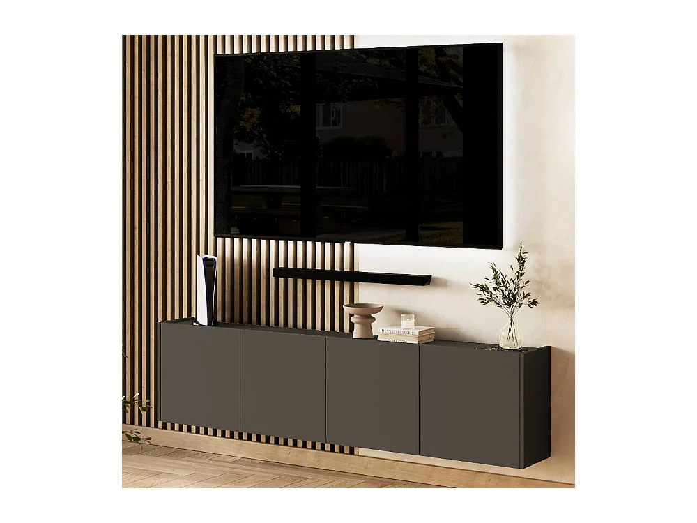 TV Board Fernsehboard für die Wandmontage mit Türen