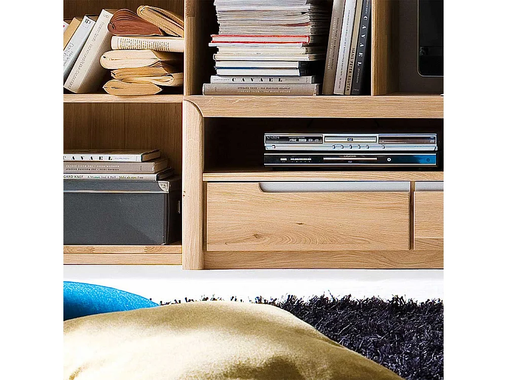 TV Lowboard aus Wildeiche Bianco modern