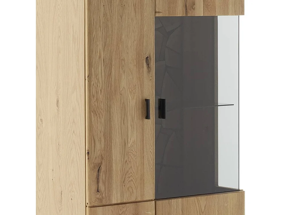 Vitrine Wohnzimmerschrank in modernem Design mit Glastür