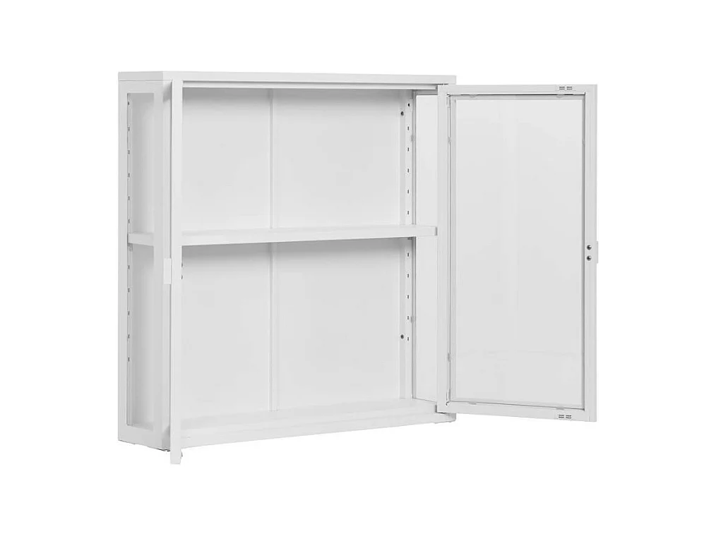 Vitrine Haengevitrine 2 tuerig fuer die Wandmontage