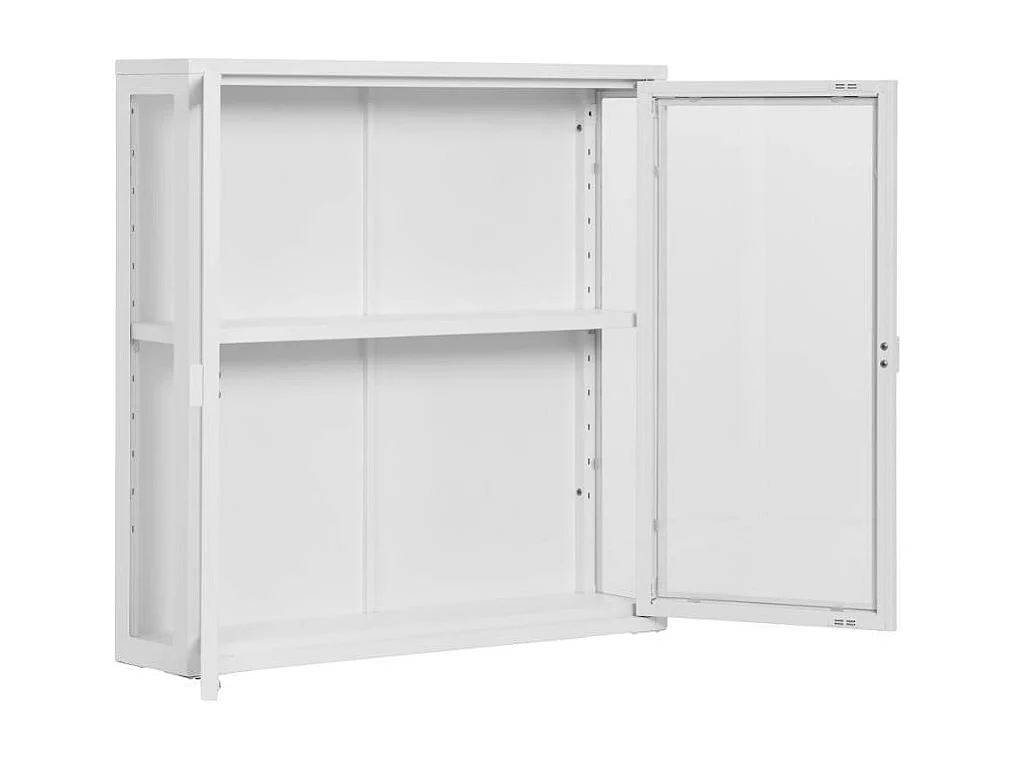 Vitrine Haengevitrine 2 tuerig fuer die Wandmontage