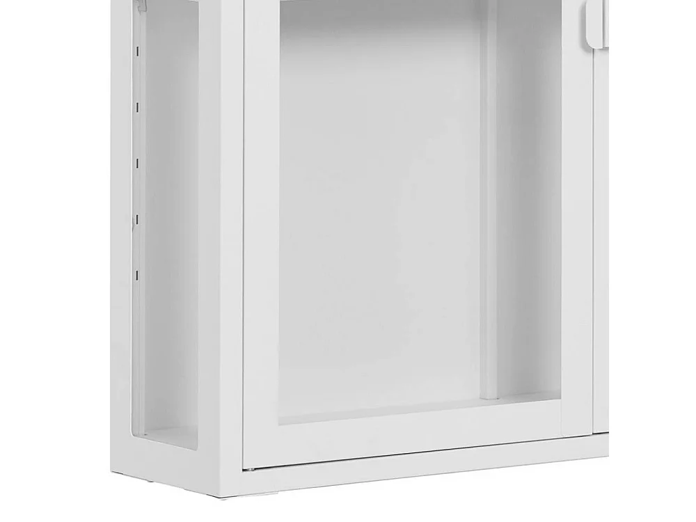 Vitrine Haengevitrine 2 tuerig fuer die Wandmontage