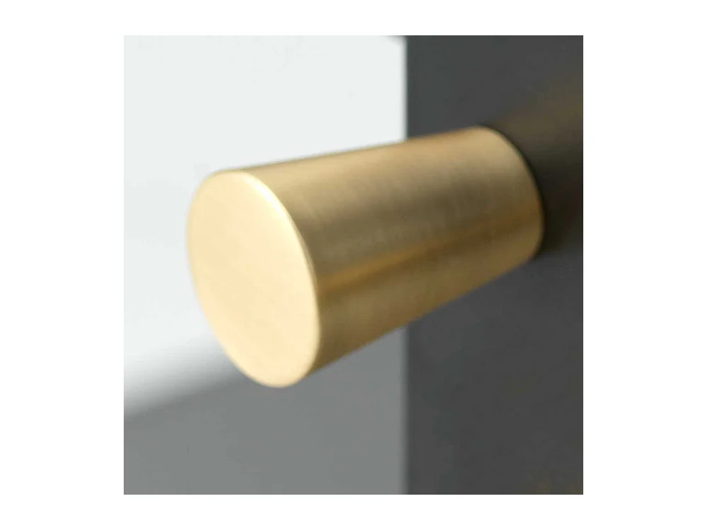 Esszimmer Vitrine aus Metall in Schwarz 1 türig