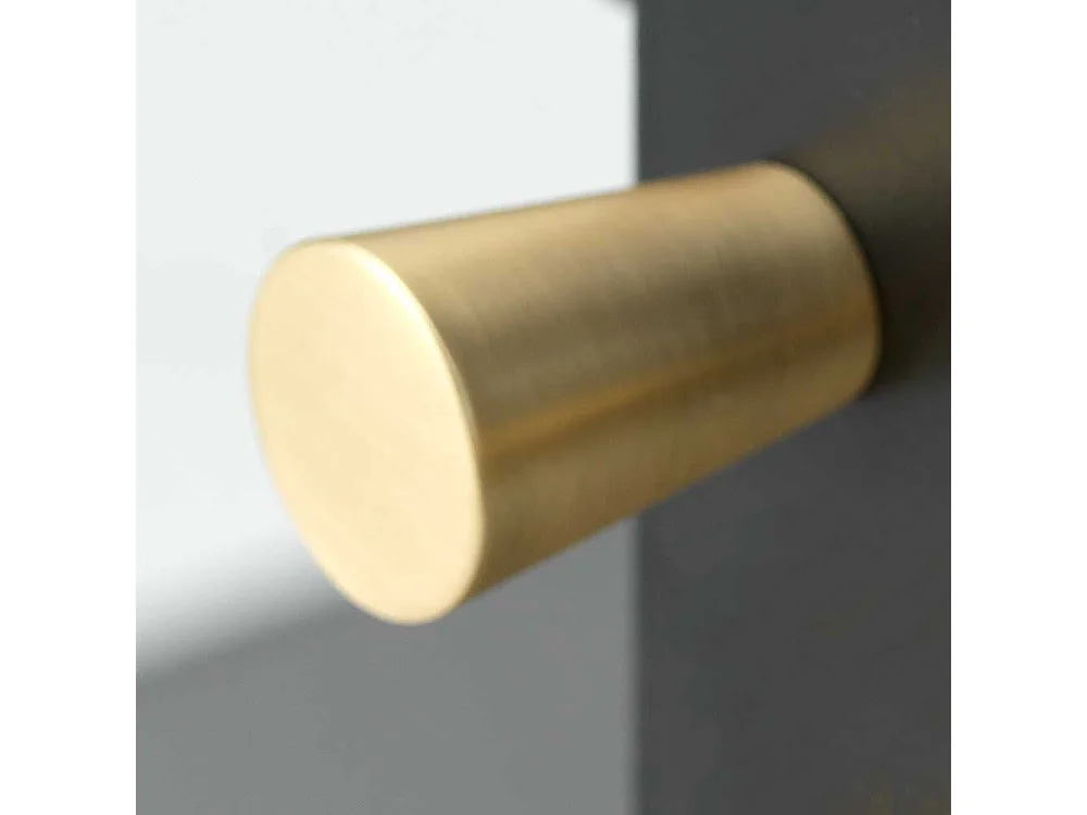 Esszimmer Vitrine aus Metall in Schwarz 1 türig