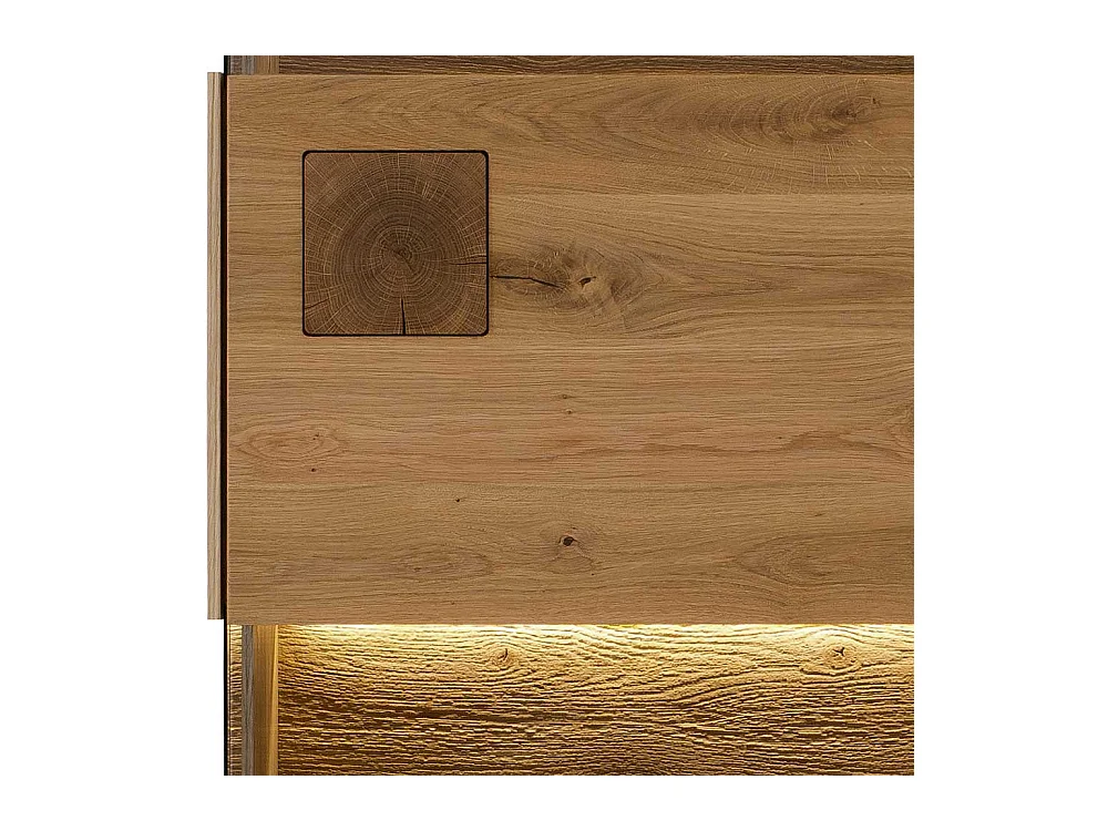 Esszimmer Vitrine Wildeiche geölt modernem Design