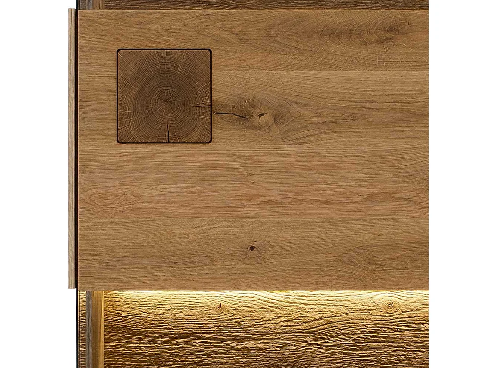 Esszimmer Vitrine Wildeiche geölt modernem Design