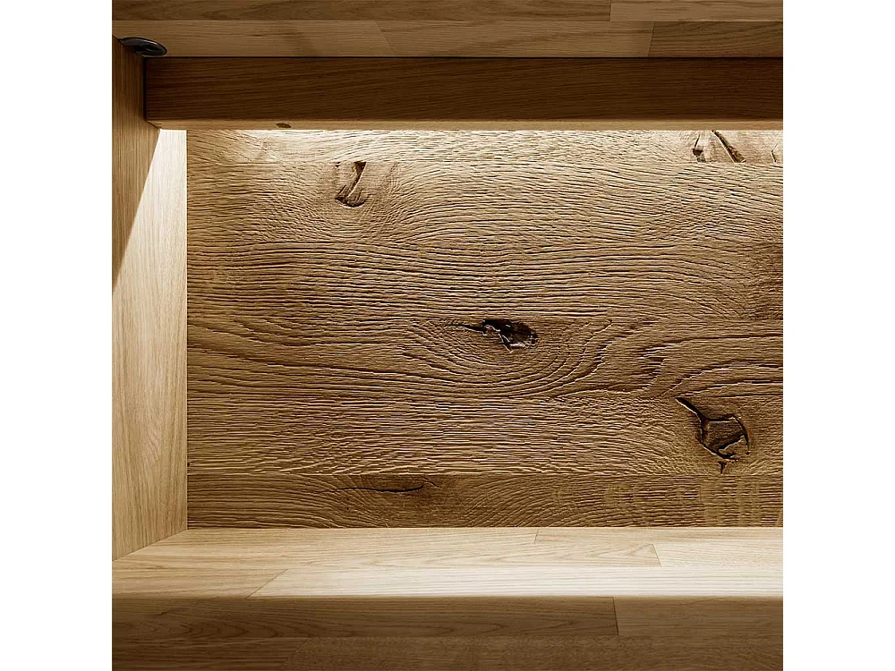 Moderne Vitrine aus Wildeiche und Eiche Massivholz 2 Türen