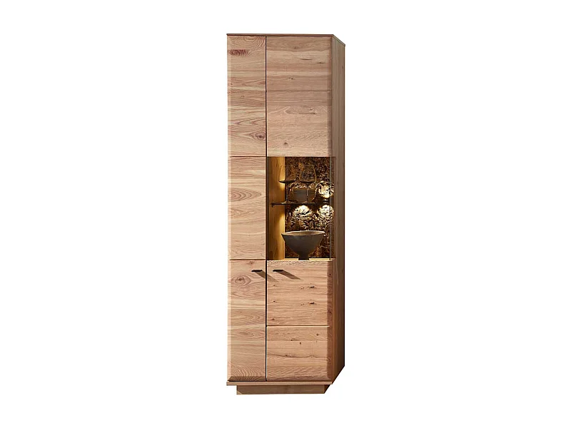 Schrank Vitrine teilmassiv 60 cm breit und 204 cm hoch Metallgriffen