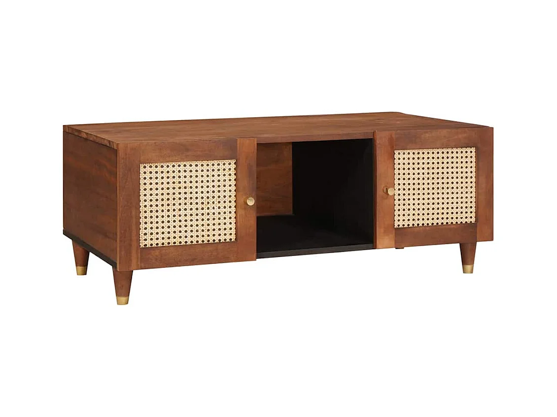 Tables basses Marron 100 x 54 x 40 cm