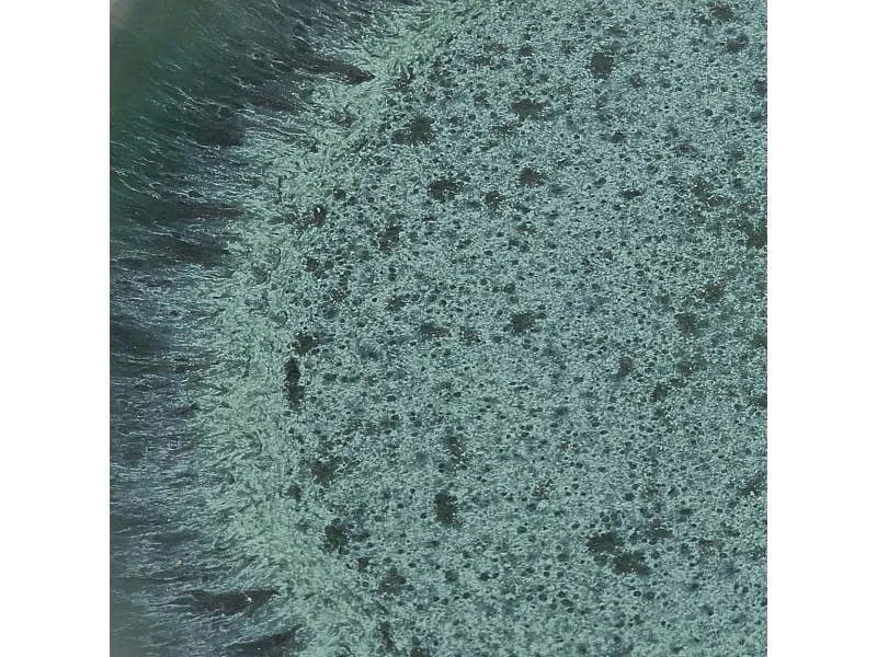 Il Piatto Da Cena Aqua