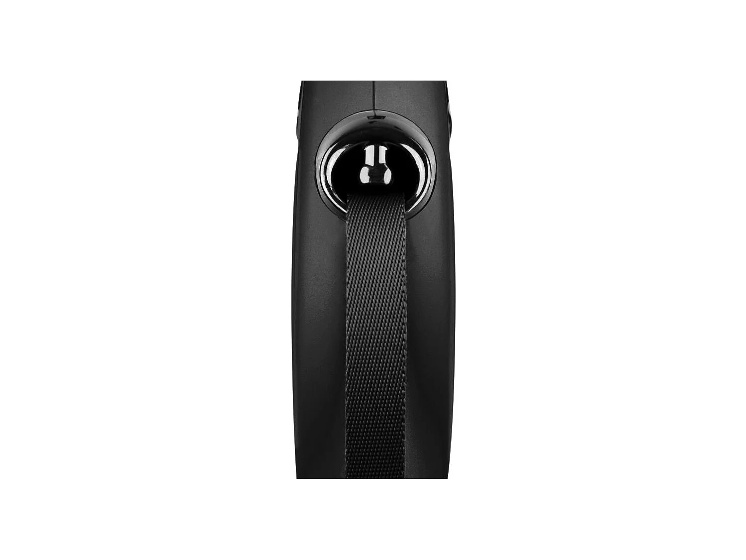 Laisse sangle - Taille L - 5 m - Noir