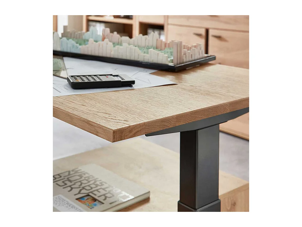 Eckschreibtisch elektrisch höhenverstellbar Wildeichefarben